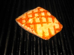 SalmonBanner