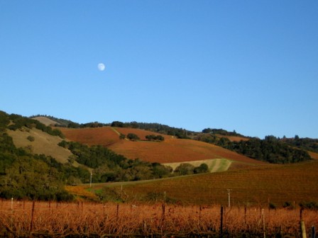 ValleyoftheMoonWeb